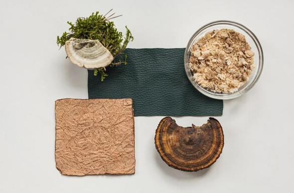 Woola、LivingPackets 和 Releaf Paper 入圍 LVMH 創新設計獎決賽
